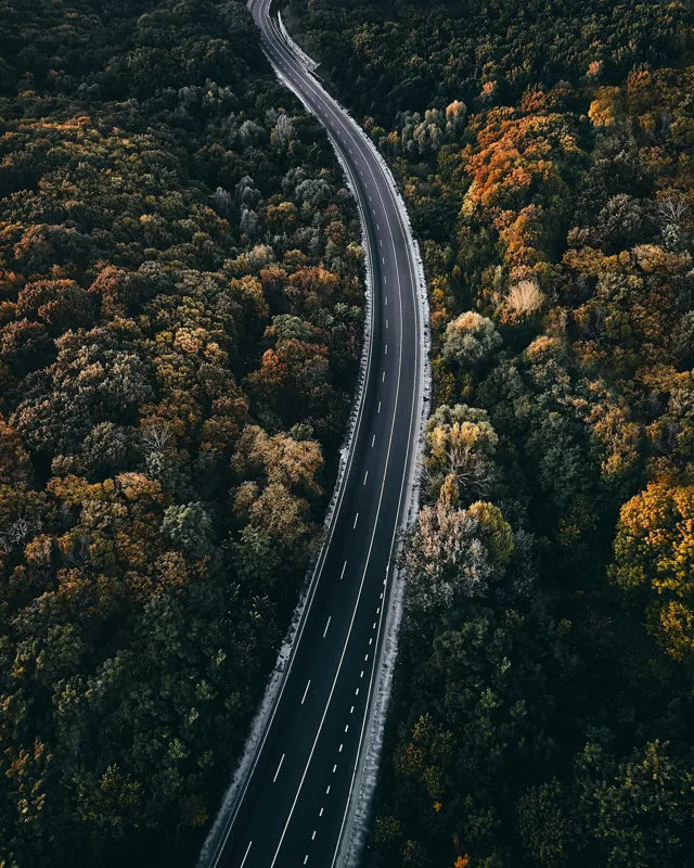 Aerial view of a road through green terrain